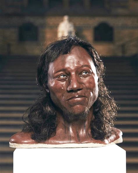 cheddar man model